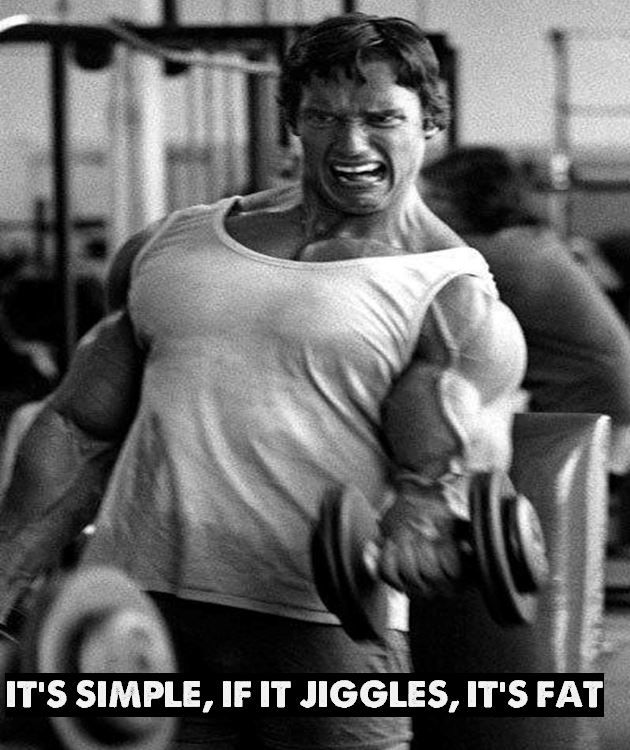 Arnold Motivational Quote 05