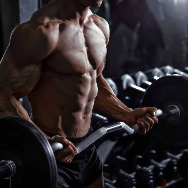 Best EZ Curl Barbells