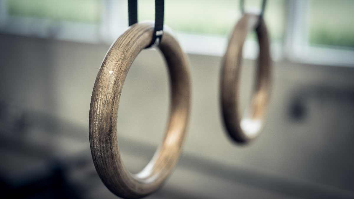 Best Gymnastic Rings
