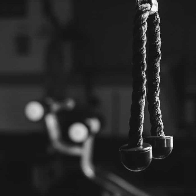 6 Best Tricep Ropes for Bigger Arms