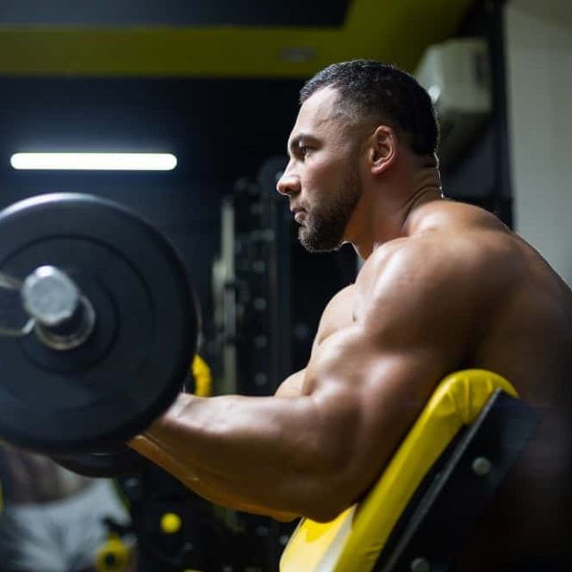 Best Preacher Curl Benches for Home Gyms