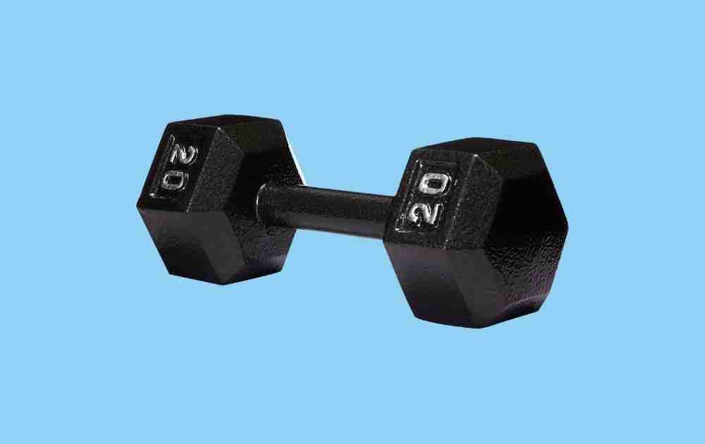 Amazon Basics Cast Iron Dumbbells