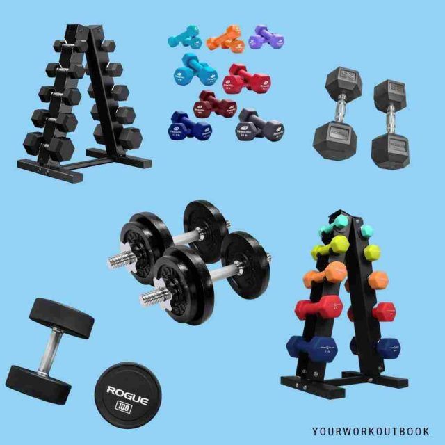 6 Best Dumbbell Sets for Every Kind of Home Workout YourWorkoutBook