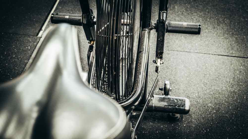 Rogue Echo Bike Review