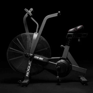 assault bike rogue echo