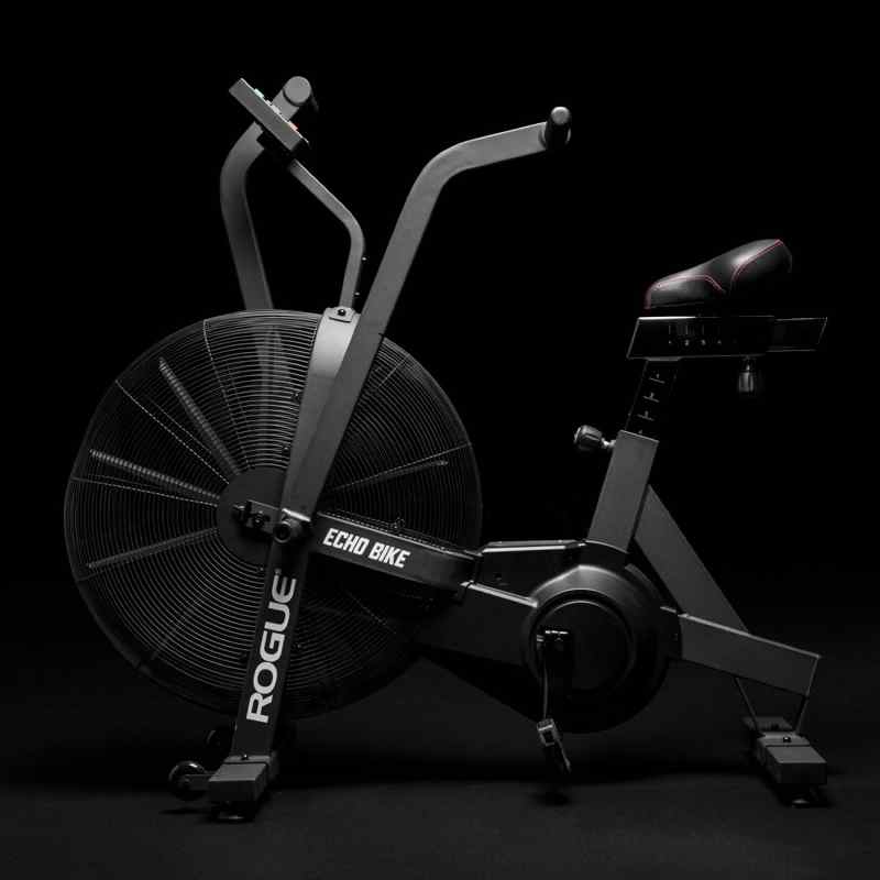 Rogue Echo Bike Review