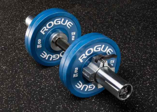 Rogue Loadable Dumbbells