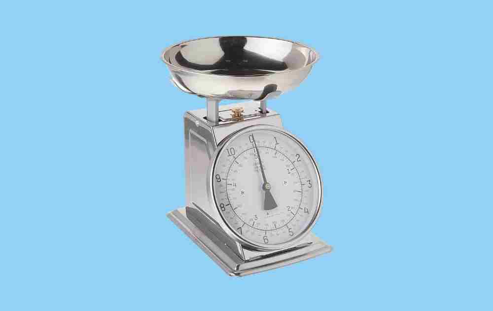 Taylor Precision Analog Food Scale