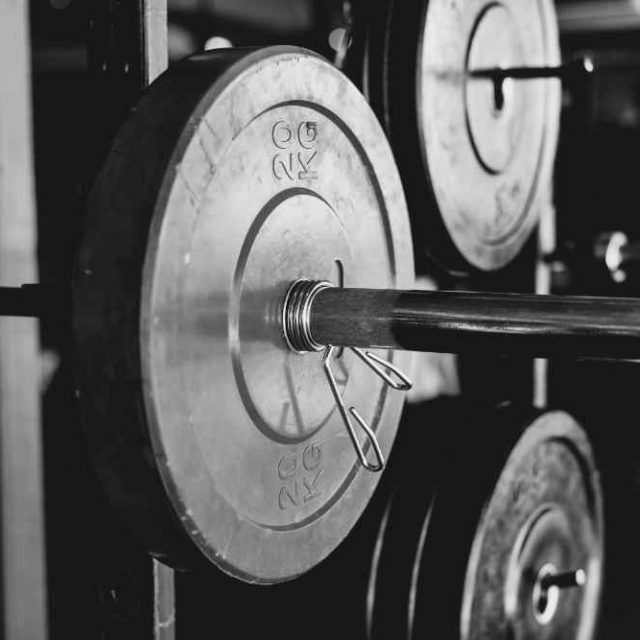Best Rackable EZ Curl Bars
