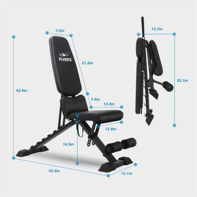 FLYBIRD Adjustable Weight Bench The Best Budget Adjustable Bench on