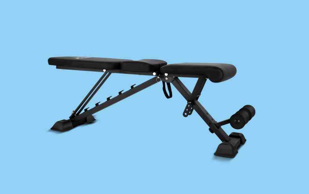 Flybird Adjustable Bench Review