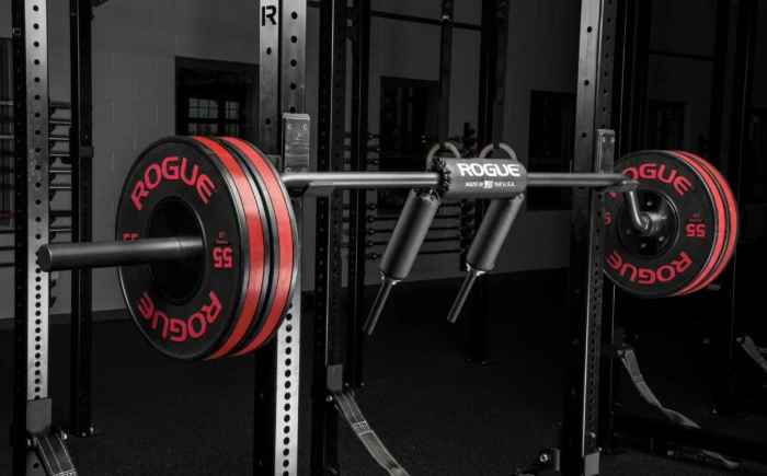 SB-1 Rogue Safety Squat Bar - Top Pick