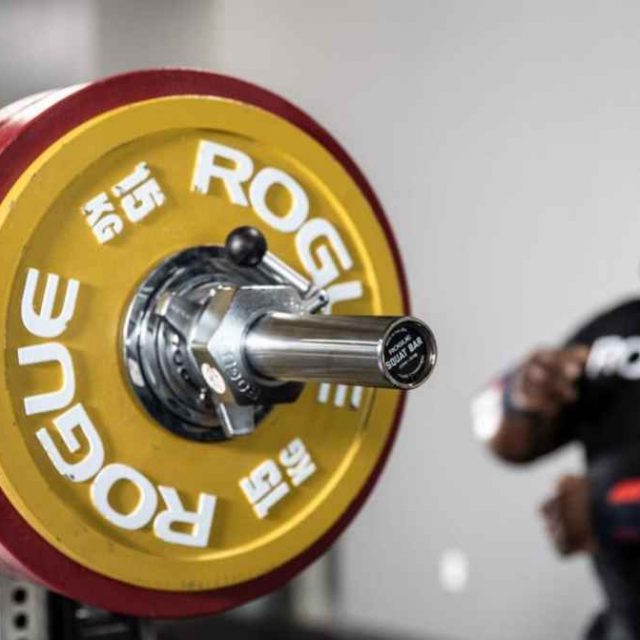 Rogue Squat Bar Review