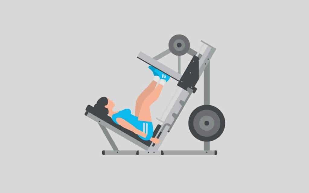 6 Best Leg Press Alternatives