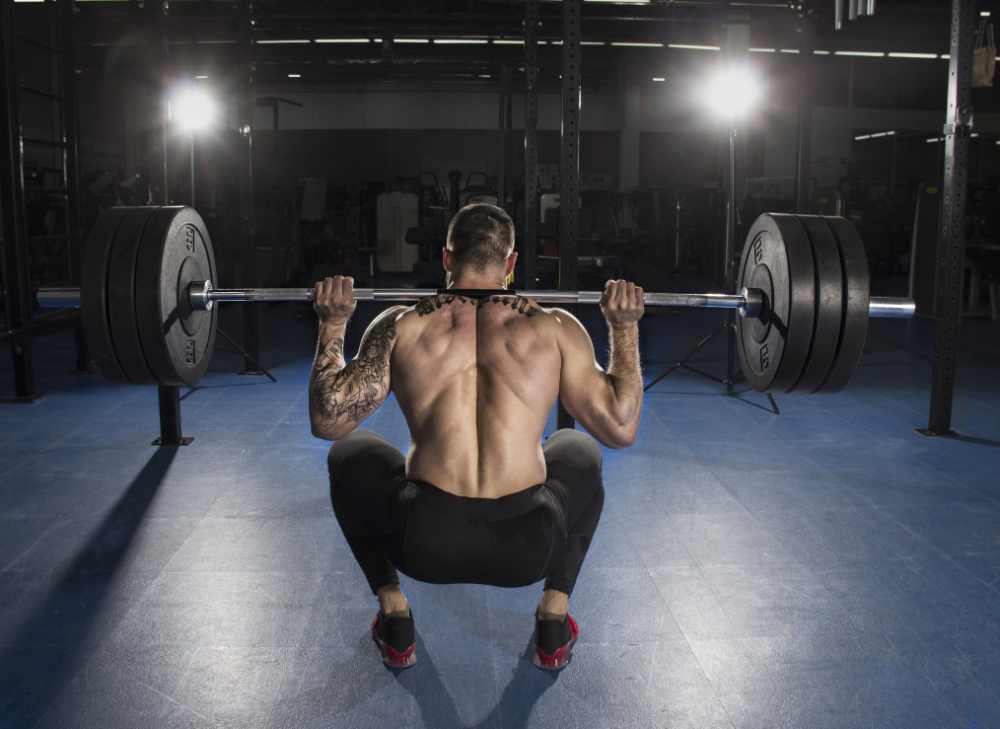 Leg Press vs Squat