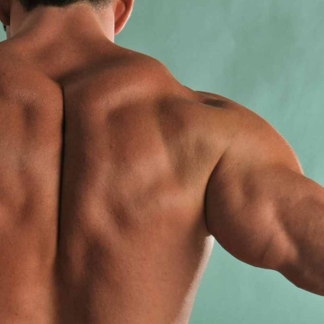 upper body dynamic stretches