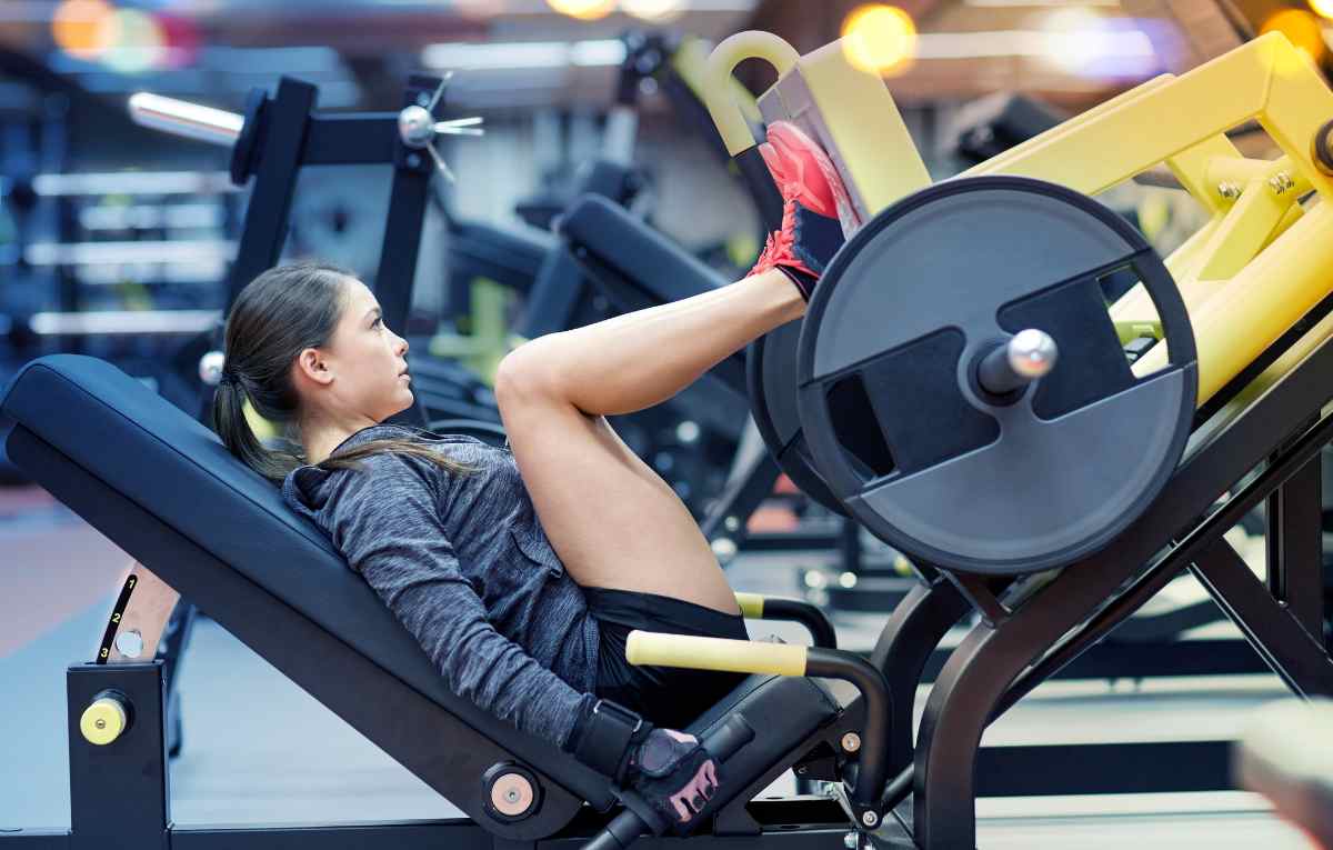 afskaffet Mængde af Moderat 7 Best Leg Machines at the Gym (Plus Benefits, Muscles Worked, and More)