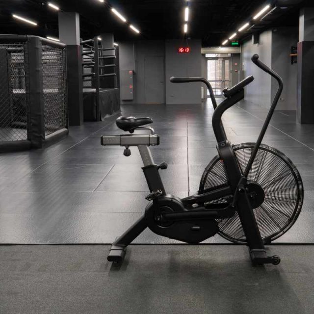 Assault Bike vs Echo Bike