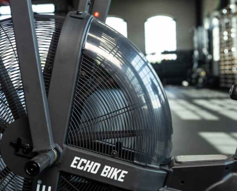 assault air bike vs echo bike