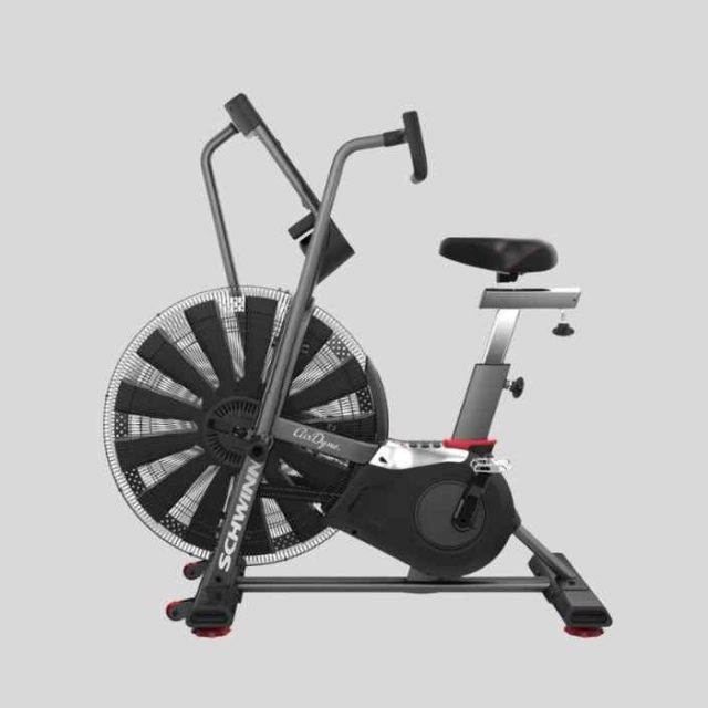 Schwinn Airdyne Review