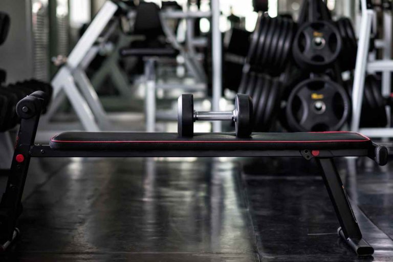 7 Best Weight Bench Exercises (Plus Benefits of Training with a Bench)