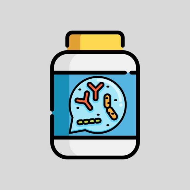 Best Probiotics for Weight Loss