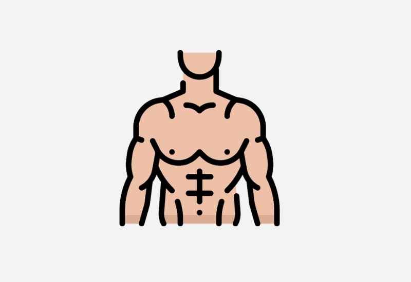 Bulking vs Cutting: How to, Plus the Pros and Cons