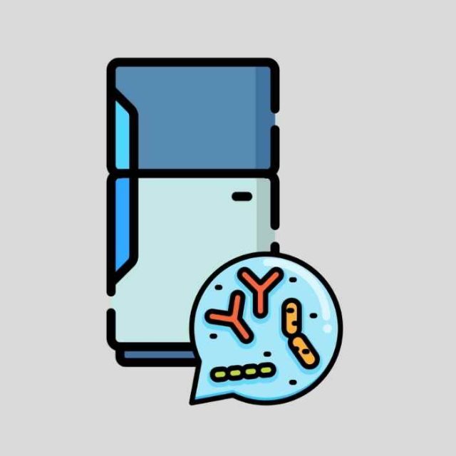 Do Probiotics Need to Be Refrigerated