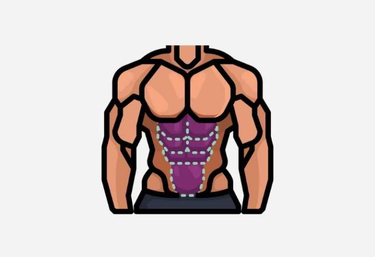 How to Cut Like a Pro After Bulking