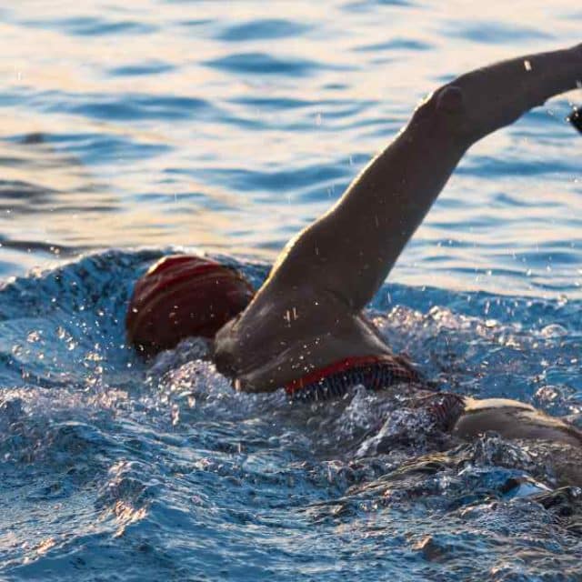 How to Choose Swim Paddles