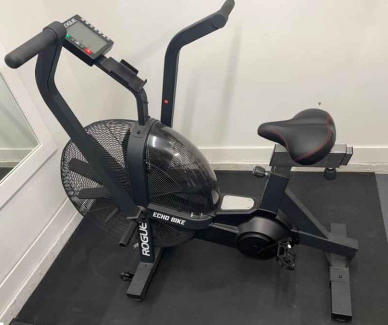 7 Reasons the Rogue Echo is the Best Air Bike on the [Full Review]