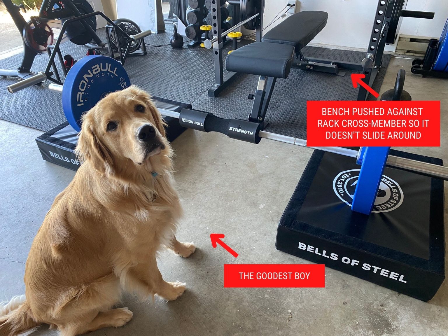 How to Do Hip Thrusts on a Squat Rack