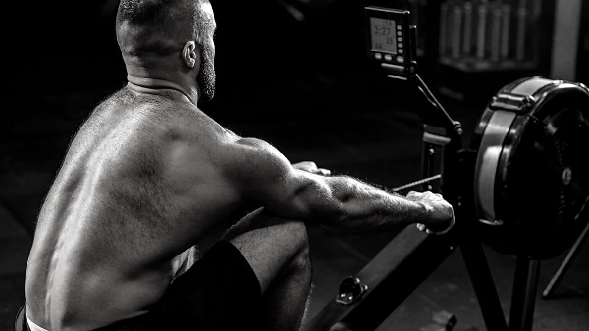 What Muscles Does the Rowing Machine Work