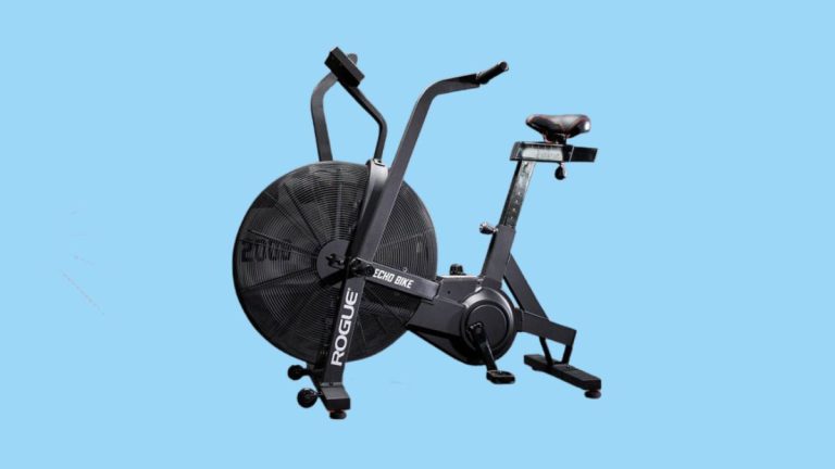 rogue echo bike weight loss