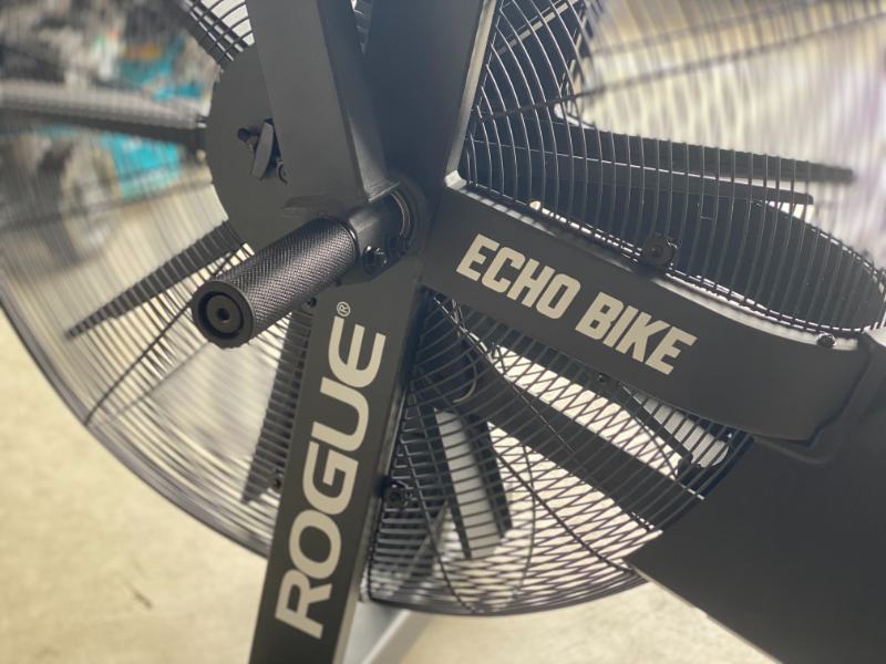 Rogue Echo Bike