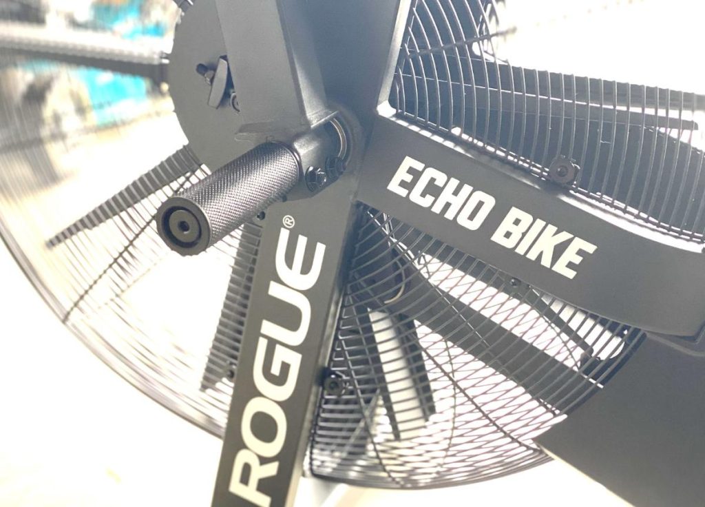 Rogue Echo Bike Review