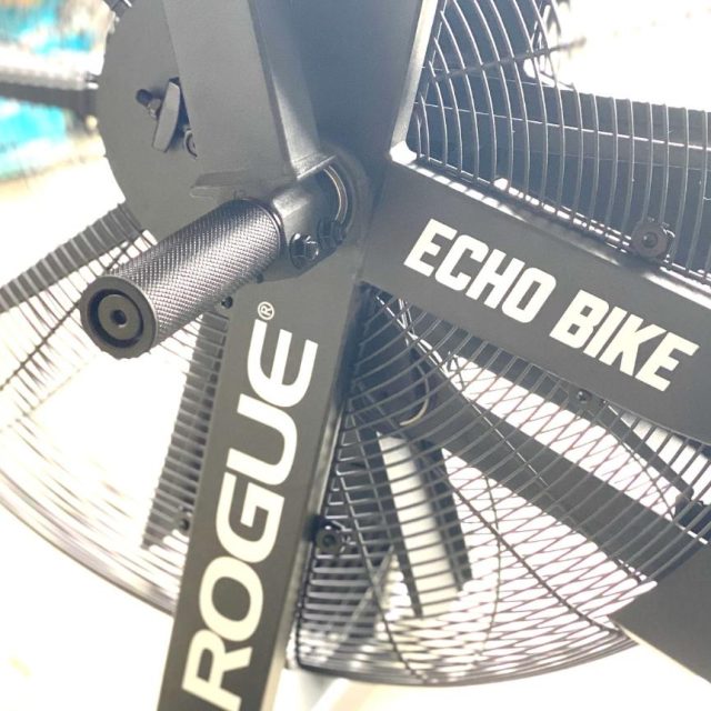 Rogue Echo Bike Review