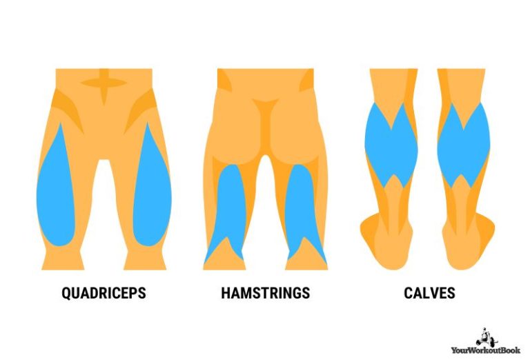 What Muscles Do Stationary Bikes Work? (and How to Build More Muscle on