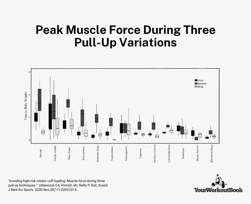 Benefits of Pull-Ups -- Variations